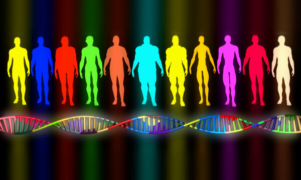 Multicolored collection of people body types. Men, male silhouettes. Colorful DNA  . 3d rendering illustration