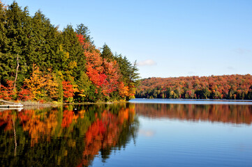 autumn trees reflected in water