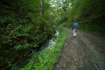 Obraz premium 軽井沢の風景