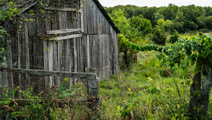 old barn and fence