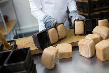 Close-up. Baker dumps freshly prepared bread out of molds on the table