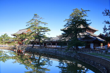 Fototapeta premium 奈良