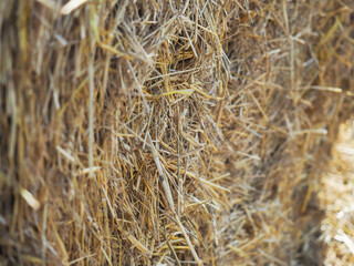 Close-up of a yellow roll of dry hay on a field.