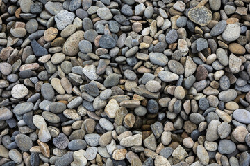 plage de galets 