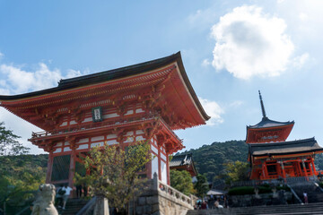 Obraz premium 京都 清水寺