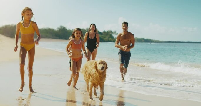 Happy young family playing on the beach with their dog, family lifestyle
