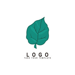 leaf logo design and template