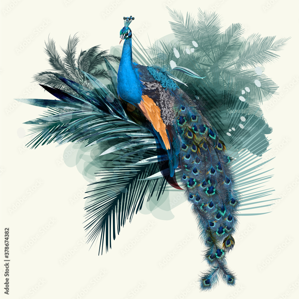 Aufkleber illustration with vector realistic peacock bird on palm jungle background