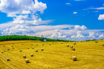 牧草ロールと夏雲の湧く丘・北海道 © 潤司 川岸