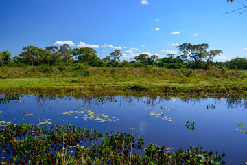 Pocone, Mato Grosso, Brazil on June 14, 2015. Natural scenery of the wetland with trees, fields and ponds.