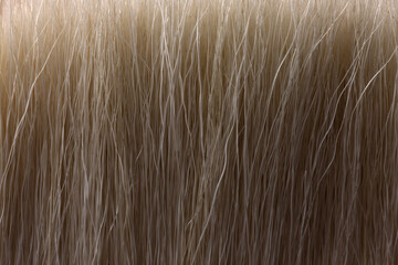 texture