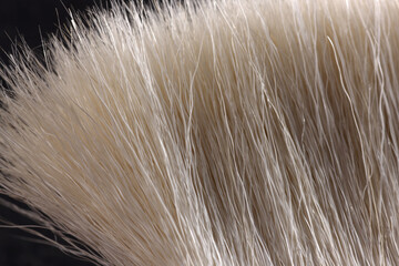 close up of brush