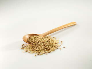 seeds in a wooden spoon