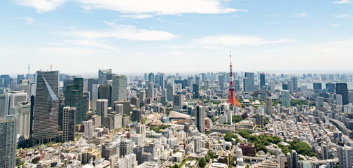 Naklejka premium 東京の街並み