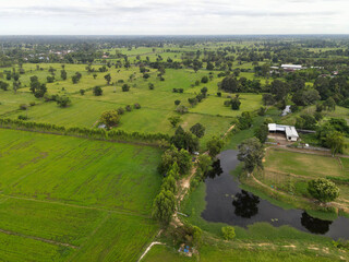 Fototapeta na wymiar landscape with fields