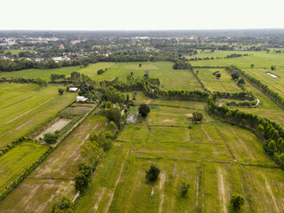 Naklejka premium landscape with fields