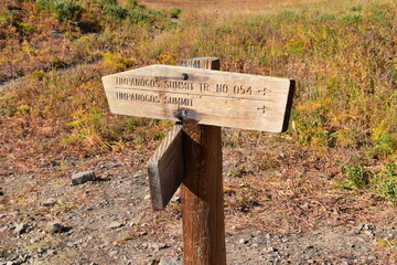 Trail Sign on the Mount Timpanogos hiking backpacking Timpooneke trail Uinta Wasatch Cache National Forest, around Utah Lake, in the Rocky Mountains in fall. Close to Midway, Heber, Provo, Salt Lake