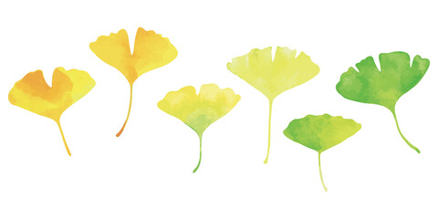 イチョウの葉6枚 水彩画 緑から黄色に色づくグラデーション