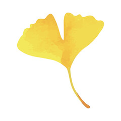 黄色く色づいたイチョウの葉 1枚 水彩画