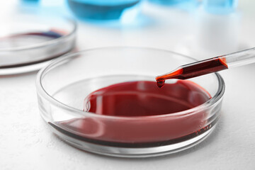 Dripping blood from pipette into Petri dish on table, closeup. Laboratory analysis