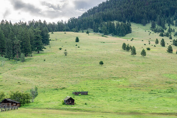 overcast summer day farm in green forest and mountains in British Columbia Canada.