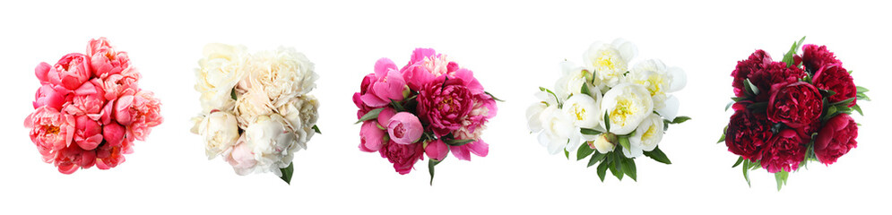 Set of beautiful peonies on white background. Bright bouquets