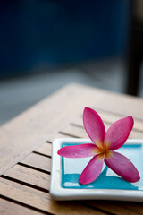 Fototapeta na wymiar flower on table