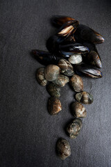 mussel and manila clam