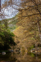 Fototapeta na wymiar autumn in the river