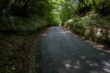 Fototapeta premium 初期中山道・牛首峠（辰野から塩尻に向かって）
