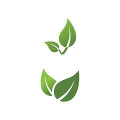 Leaf Mint Logo Template vector symbol