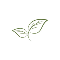 Leaf line icons vector leaves logo design