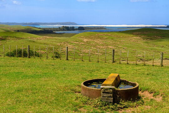 A farm on the coast, with a circular water trough for animals to drink from. Photographed in Northland, New Zealand