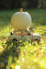 Thanksgiving Day. Halloween holiday. Delivery pumpkin . Autumn season. Beige decorative car with a white pumpkin in the sunbeams on a blurred autumn garden background.Harvest pumpkin. Fall