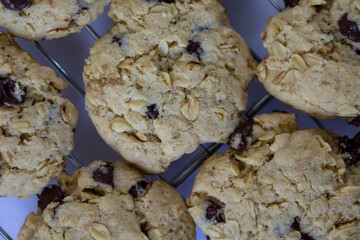 galletas de chispas de chocolate y avena
