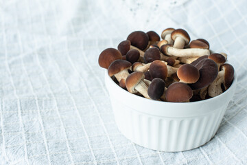 mushrooms, honey mushrooms in a plate, on sacking. Copy space