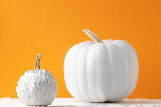 halloween background of pumpkin painted white in orange background