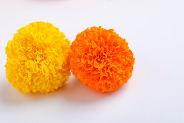 Marigold flowers on white background