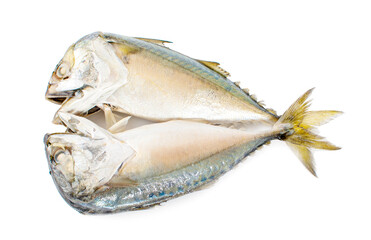 Two thai fish mackerels steamed isolated on white background