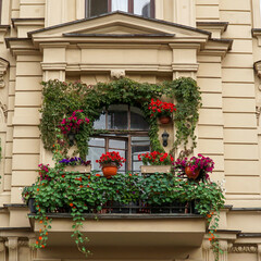           The balcony of the house is richly decorated with flowers and climbing plants.
