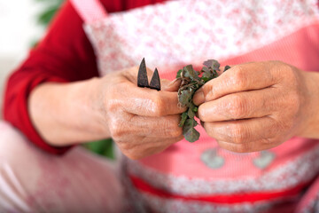 Sort out the wild vegetables dug back
