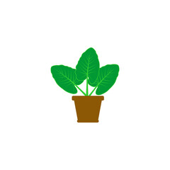 Obraz premium plant in a pot icon vector symbol
