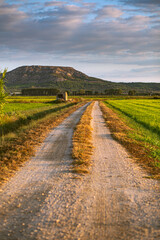 Fototapeta na wymiar Rural gravel road pathway on a green plain landscape