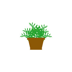 plant in a pot icon vector symbol