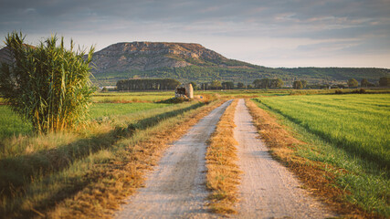 Fototapeta na wymiar Rural gravel road pathway on a green plain landscape