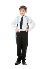 Little schoolboy on white background