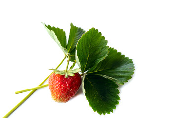 Isolated on white background strawberry, close-up photo