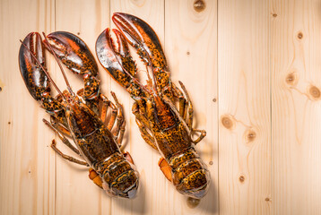 Raw Canadian lobster. Raw lobster on wooden background. 