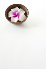 flower shaped candle on white background