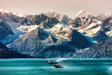 Peel and stick wall murals Green Blue Alaska whale watching boat excursion. Inside passage mountain range landscape luxury travel cruise concept.